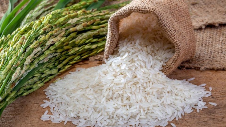 Rice & Grains